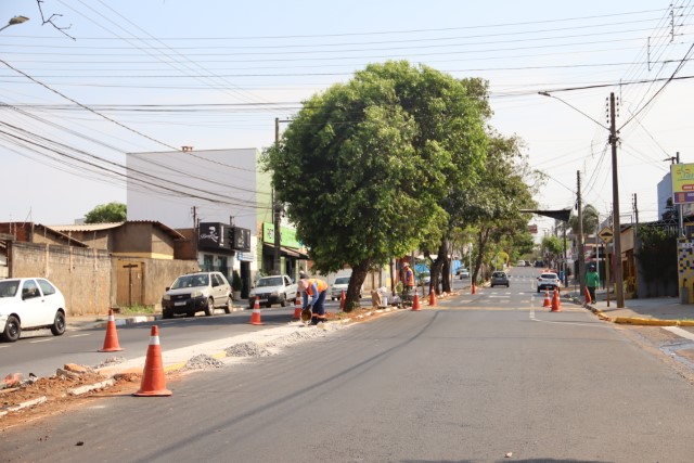 Avenida Paulo Marcondes é parcialmente interditada para retirada de árvores e obras de melhoria no trânsito
